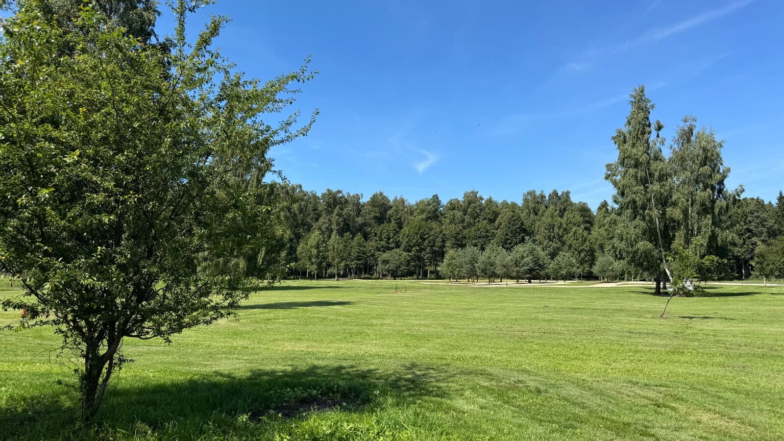 Plaša pļava un mežs parkā